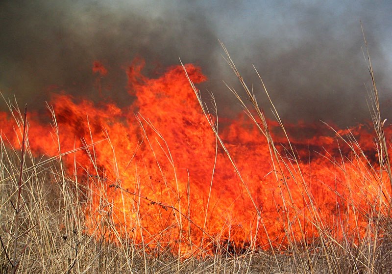 Üryân doğan âdeme üryân olmak ar gelir