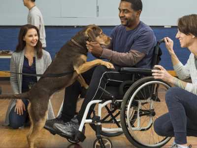 Beyin yıkayıp itperestlik aşılayan filmler 1: Sadık Dostum - A Dog's Way Home (2019)