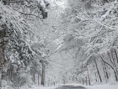 Kara kış hey kara kış