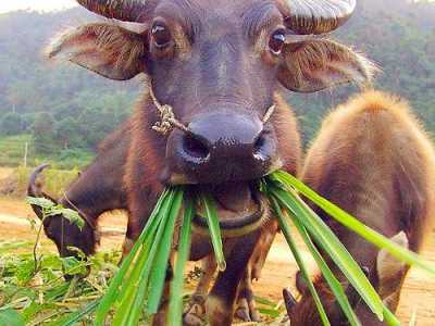 Dinle bir söz diyeyim Gör ne imiş değişmek