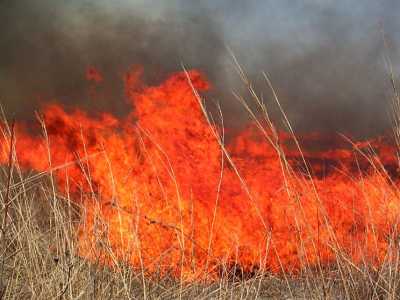 Üryân doğan âdeme üryân olmak ar gelir