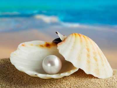 Ali Şîr Nevâî'den muhteşem bir beyit