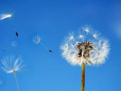 Yalınayak Taşlı yol Dikenli patika